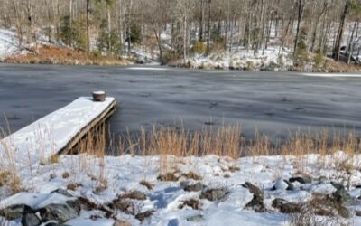 Joy and Faith in Winter